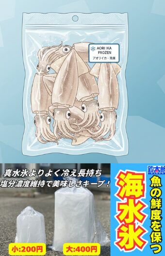 「海水氷×急速冷凍」。 この組み合わせこそが、アオリイカのポテンシャルを最大限に引き出す最強の管理術。 釣太郎