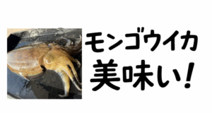 釣れたモンゴウは、店ではほぼ食べられない味。理由は・鮮度が再現できない・流通が追いつかない・劣化が早い.釣太郎