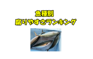 魚種別 腐りやすさランキング。釣太郎