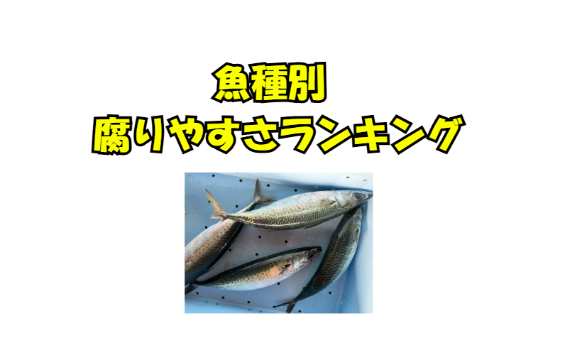 魚種別 腐りやすさランキング。釣太郎