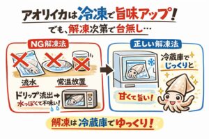 冷凍アオリイカ、冷凍で旨味アップ・繊維破壊で甘み増加・失敗原因は急解凍・正解は冷蔵庫解凍・半解凍が最強。釣太郎