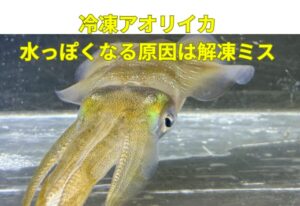 冷凍アオリイカが水っぽくなる原因は、👉 保存ではない👉 鮮度でもない👉 ほぼ100％「解凍ミス」釣太郎