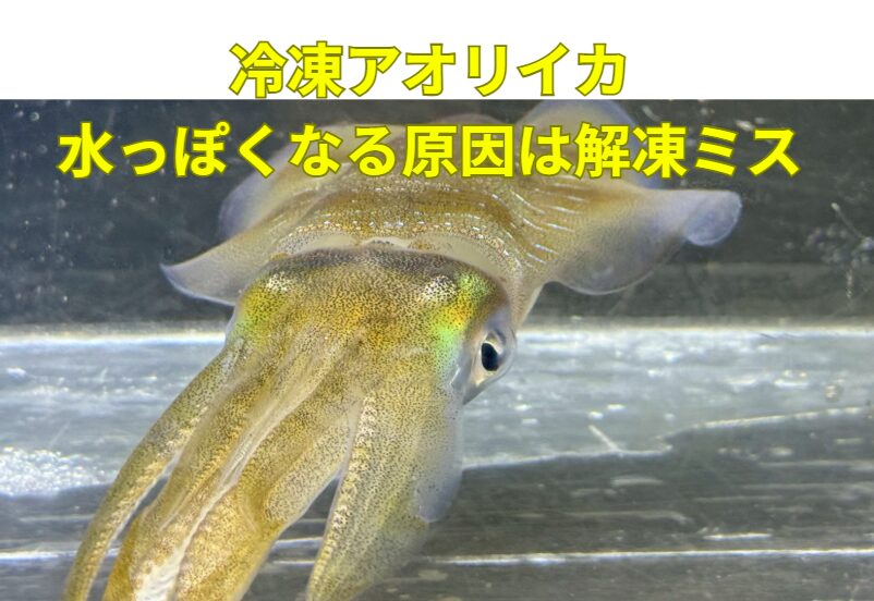 冷凍アオリイカが水っぽくなる原因は、👉 保存ではない👉 鮮度でもない👉 ほぼ100％「解凍ミス」釣太郎