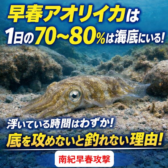 南紀早春のアオリイカは・水温安定・産卵意識・底ベイト待ち。この3要素で1日の70〜80％前後を海底付近で過ごしている可能性が高い。釣太郎