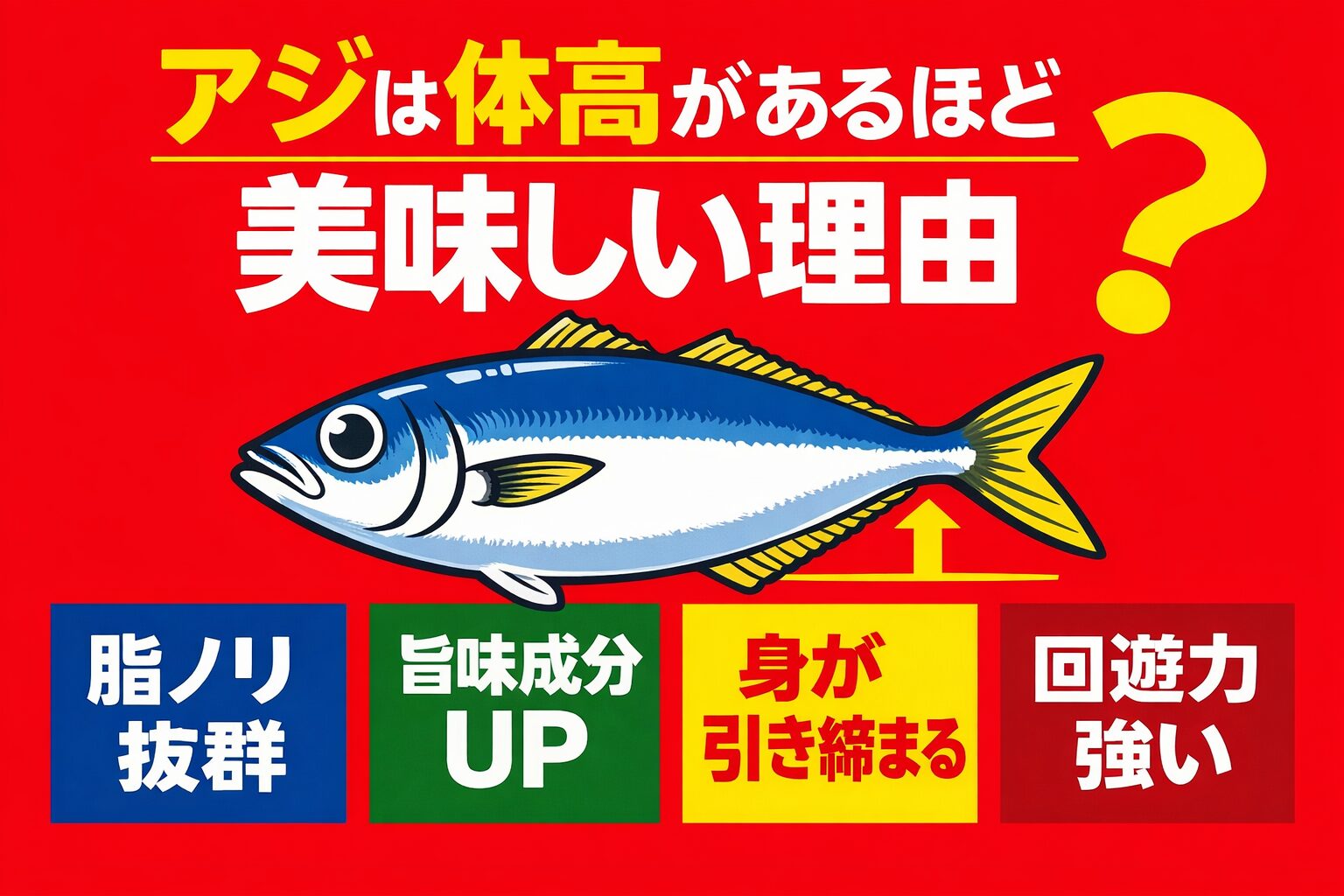 アジは体高があるほど美味しい。その理由は・脂肪量が多い・旨味前駆物質が多い・筋肉密度が高い・捕食力が強い。釣太郎