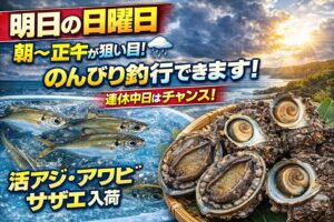 明日の釣行ポイントは非常にシンプル。朝から正午までが勝負。雨前の好条件を活かす。活きエサで釣果アップ。釣太郎
