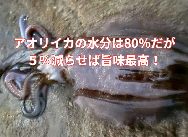 アオリイカは水分80％あるので、5％減らせば旨味は劇的にUPします。釣太郎