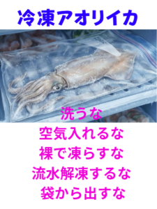 冷凍アオリイカ、洗うな ・空気入れるな・裸で凍らすな・流水解凍するな ・袋から出すな。これだけ守れば失敗しません。釣太郎