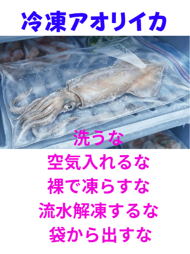 冷凍アオリイカ、洗うな ・空気入れるな・裸で凍らすな・流水解凍するな ・袋から出すな。これだけ守れば失敗しません。釣太郎