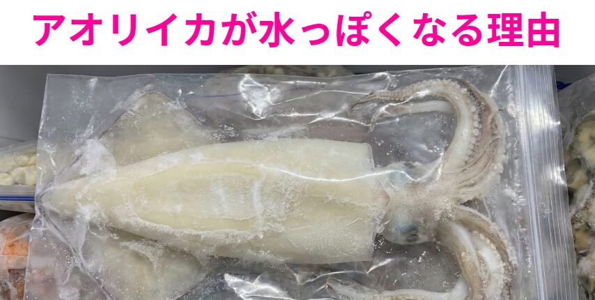 冷凍アオリイカが水っぽくならないために、「袋のまま氷塩水解凍」か「冷蔵庫一晩解凍」に変えるだけで激変します。釣太郎