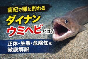 南紀でダイナンウミヘビが釣れる理由は・黒潮の影響・水深のある海域 ・深海魚が接岸しやすい環境。釣太郎
