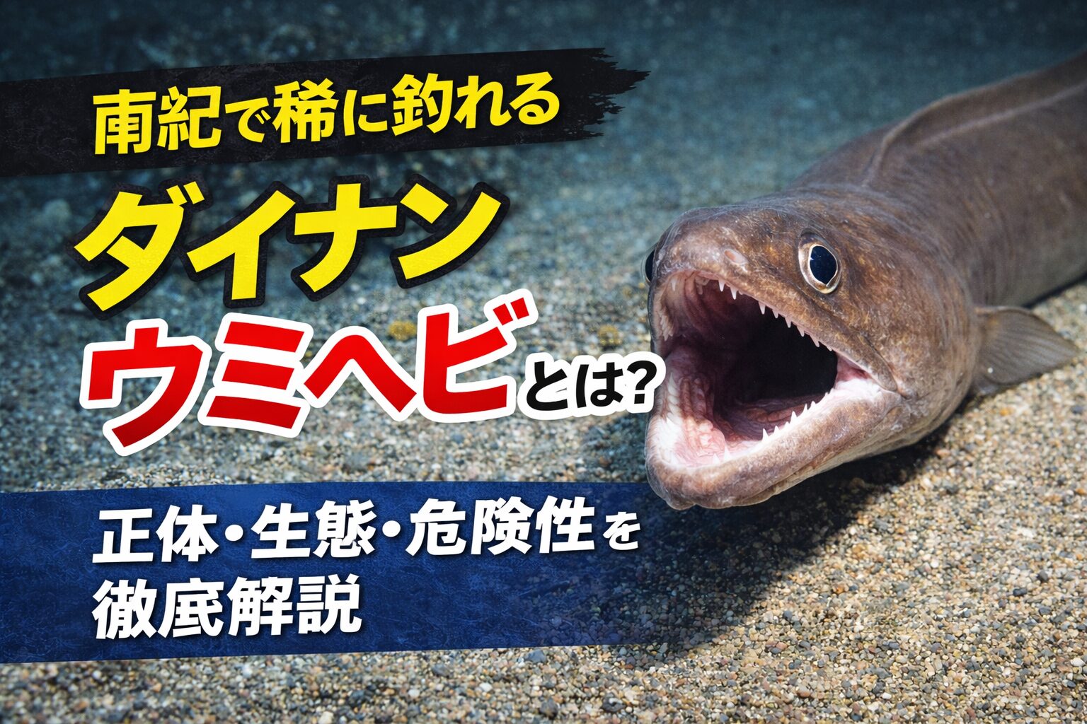南紀でダイナンウミヘビが釣れる理由は・黒潮の影響・水深のある海域 ・深海魚が接岸しやすい環境。釣太郎