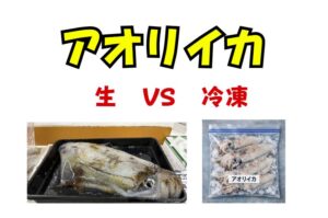 アオリイカ、釣ってすぐ冷凍 vs 一晩寝かせて冷凍。味の違い検証。釣太郎