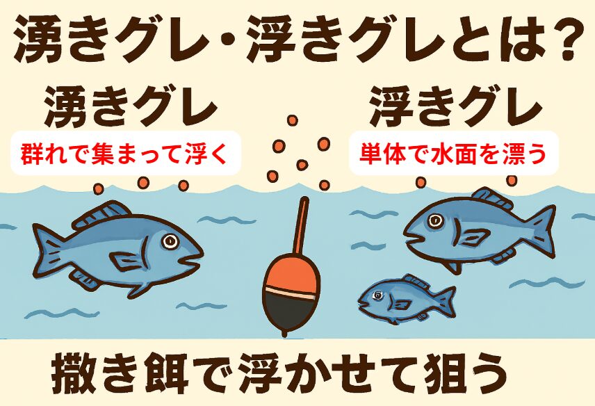 湧きグレ＝群れで水面に湧くグレ。浮きグレ＝単体で水面を漂うグレ。フカセ釣り入門。釣太郎