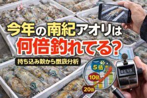 持ち込みは全体の一部 ・南紀は報告率が低い ・当たり年ほど倍率増加 ・今年は10〜20倍規模の可能性。今年の南紀アオリは見えている以上に釣れています。釣太郎