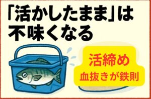 「活きたまま魚を持ち帰る」と魚は不味くなる。」釣太郎