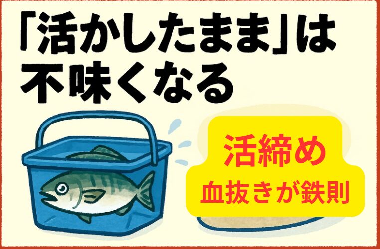 「活きたまま魚を持ち帰る」と魚は不味くなる。」釣太郎