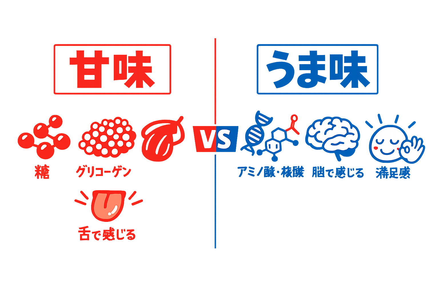 アオリイカ、甘味の正体。グリコーゲン由来の糖・寝かせ＆冷凍で増える・第一印象を決める。 うま味の正体・アミノ酸＋核酸・熟成で増える・満足感を決める。釣太郎