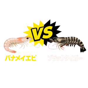 バナメイエビは、成長が早く病気に強いため、大量養殖が可能。そのため価格が安定しており、コストパフォーマンスに優れる。一方、ブラックタイガーは養殖が難しく、病気に弱いため、価格が高め。釣太郎