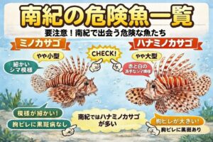 南紀の釣り場に潜む「危険魚」図鑑！毒の部位と対処法を完全網羅。釣太郎