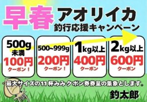 アオリイカ、大きさに関わらずお持ち込み下さい。バラ氷、クーポン券進呈中。釣太郎