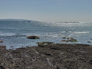 【無料のメンタルケア】海に出るだけで「心の疲れ」が消える理由。それは最高のセラピーでした。釣太郎