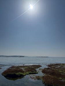 正午過ぎに海に出ると暖かいを通り超え暑いくらい。思わず半袖Tシャツ姿に。2月14日土曜日。釣太郎