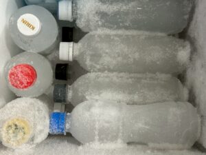 魚の身に直接氷が当たると、その部分が凍傷みたいに変色して味が落ちます。ペットボトル氷なら、プラスチックの容器がワンクッションになる。釣太郎