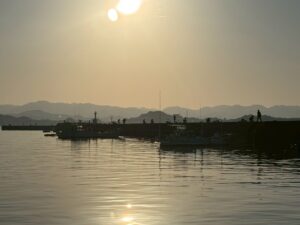 【現地レポ】2026年2月21日・三連休初日｜和歌山みなべ堺堤防の釣り人の様子、釣太郎