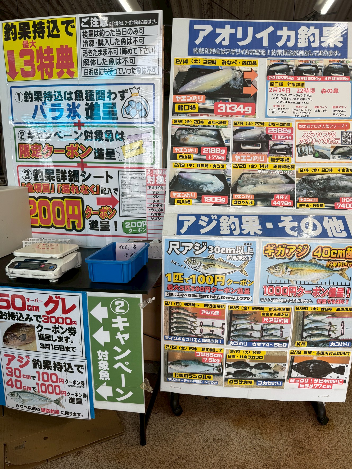 晩冬もアオリイカ釣好調の南紀地方。お持ち込み釣果待っています。釣太郎