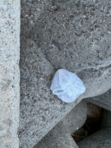 ゴミを捨てる人は、必ずしも知的水準が低いわけではありません。 想像力の欠如。匿名性。責任の分散。疲労。そして慣れ。これらが重なると起きます。釣太郎