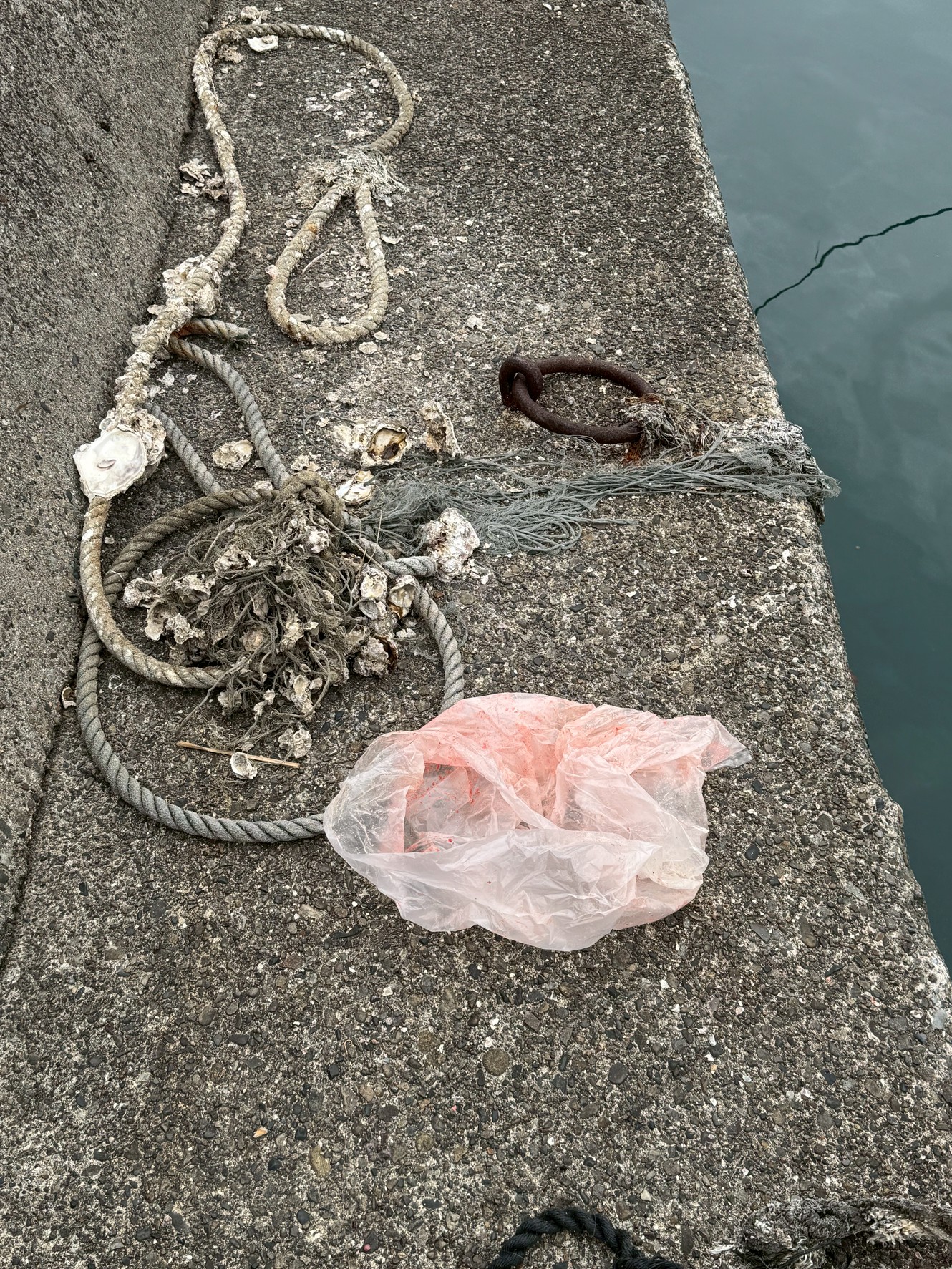 ゴミを捨てる人の共通傾向は「今だけ・自分だけ・金だけ」思考。つまり自分だけよければいいという人。釣太郎