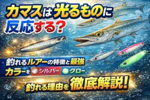 カマス釣りのルアーは「光」が鍵。カマスは視覚型ハンター。ベイトの反射を見つけ、一瞬で突っ込みます。そのため釣れるルアーは必ず光ります。釣太郎