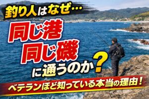 釣り人が同じ場所に通う理由。魚の回遊ルートがある、地形は変わらない 、魚が居着くことがある 、海のクセを覚えられる、経験値が積み上がる。釣太郎