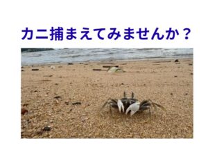 田舎には田舎の遊び方があります。春は海辺が一番のおすすめ。釣太郎