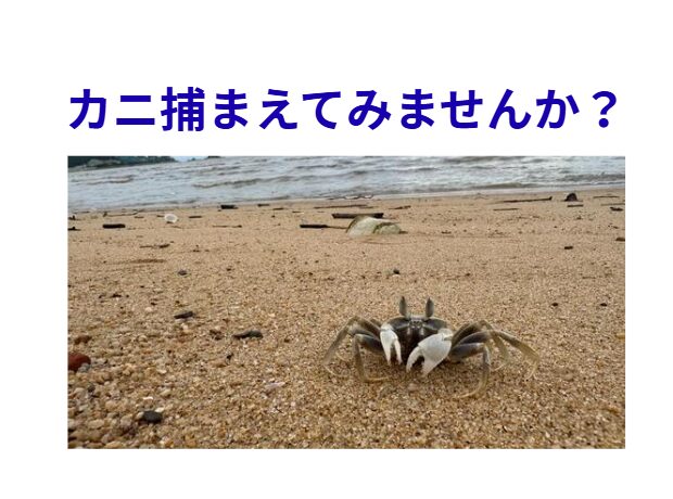 田舎には田舎の遊び方があります。春は海辺が一番のおすすめ。釣太郎