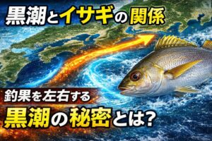 世界最大規模の暖流である黒潮は、プランクトンや小魚などの生命を豊かに育む海のハイウェイ。これが南紀のイサギの美味しい理由。釣太郎
