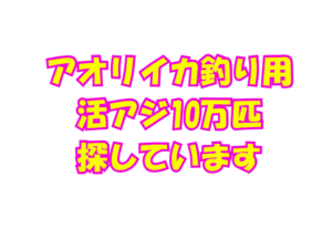アオリイカ釣り用活アジ、10万匹探しています。釣太郎