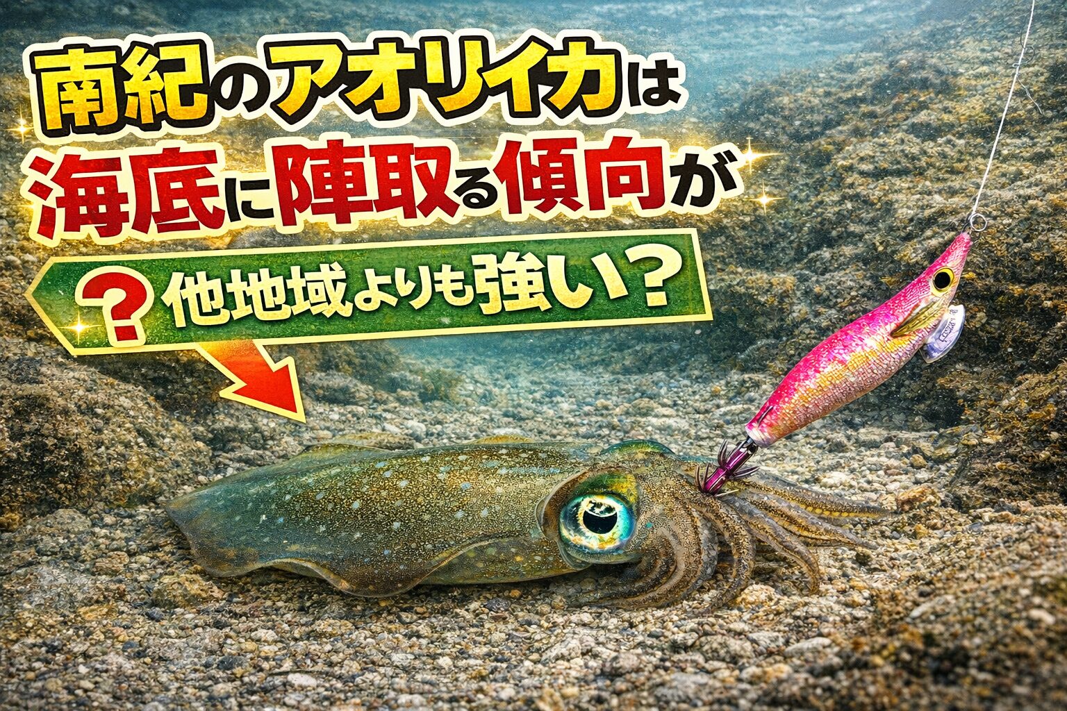 南紀のアオリイカは、 他地域より海底に陣取る傾向が強く見えやすいです。その理由は、黒潮の影響が大きい。潮通しが強い。磯や根、かけ下がり、藻場が多い。釣太郎