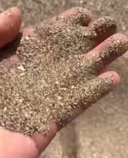 ビーチの砂は一種類ではなく、岩石のかけら。貝殻の破片。サンゴの破片。その土地の地形や海の生き物由来の粒。これらが混ざってできたものです。釣太郎