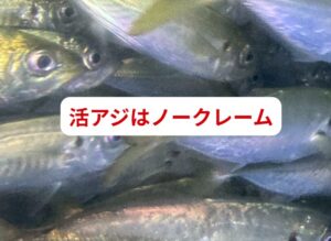 活アジはノークレームとさせていただきます。管理はお客様ご自身でお願いいたします。釣太郎