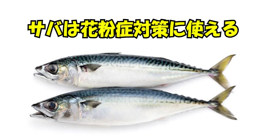 サバ継続で花粉シーズンを少し楽にサバのEPA・DHAは抗炎症・免疫調整の味方。花粉症対策の「食べ物編」として最強候補。釣太郎