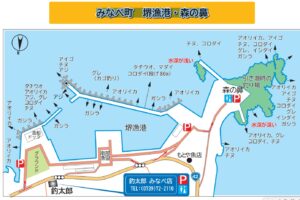 釣太郎みなべ店前大堤防先端内側は、北西風が吹いても高台が風を防いでくれる絶好の風裏ポイント！