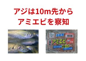 アジは“最大10m先”からアミエビを察知して寄ってくる。サビキ釣り入門。釣太郎