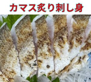 釣り人の特権！市場に出回らない「カマスの刺身」が絶品すぎる。釣太郎
