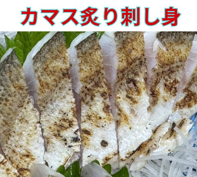 釣り人の特権！市場に出回らない「カマスの刺身」が絶品すぎる。釣太郎