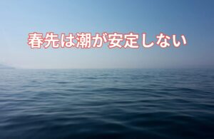 春先の潮は「昨日はバッチリ効いてたのに、 今日は全然流れがない…」という状況が頻発します。釣太郎