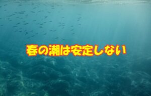 春は、この暖かい黒潮が岸に寄ったり離れたりを繰り返しながら、勢力を広げようとする時期です。黒潮の枝分かれした潮が入ってくれば水温は一気に上がりますが、離れれば急降下します。釣太郎
