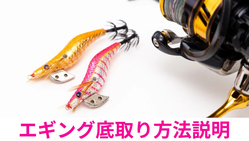 エギング初心者必見！底取りを確実にするラインの動き読み方レクチャー （アオリイカ釣り鉄板テクニック）釣太郎