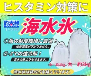 ヒスタミン食中毒に海水氷は有効！ 釣太郎の海水氷で安全にソウダガツオを楽しもう。